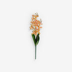 ORCHID