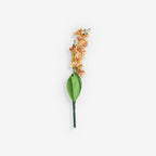 ORCHID