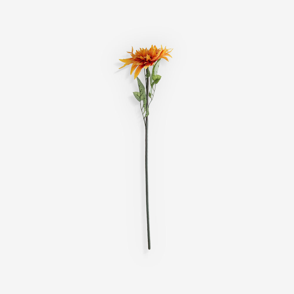 CHRYSANTH