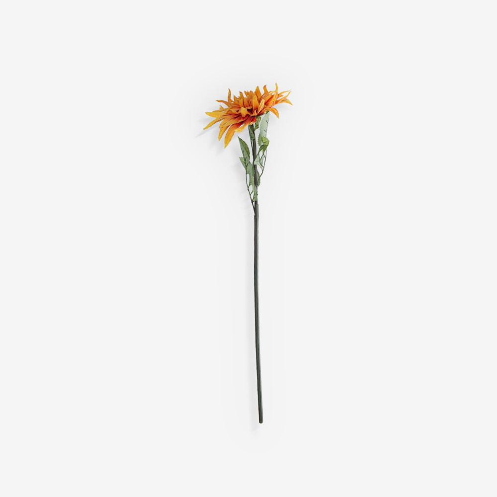 CHRYSANTH
