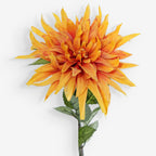 CHRYSANTH