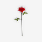 CHRYSANTH