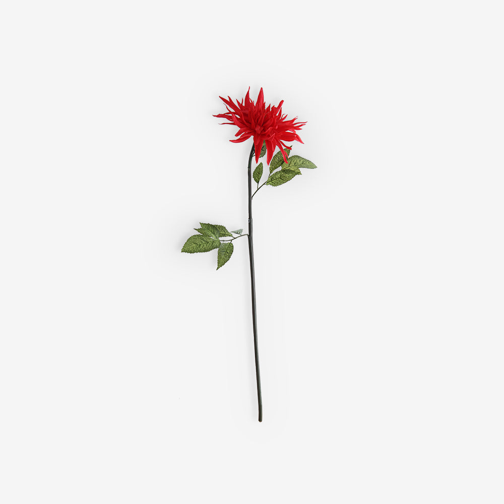 CHRYSANTH