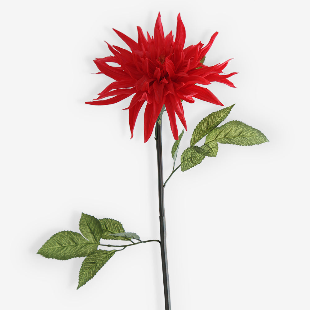 CHRYSANTH