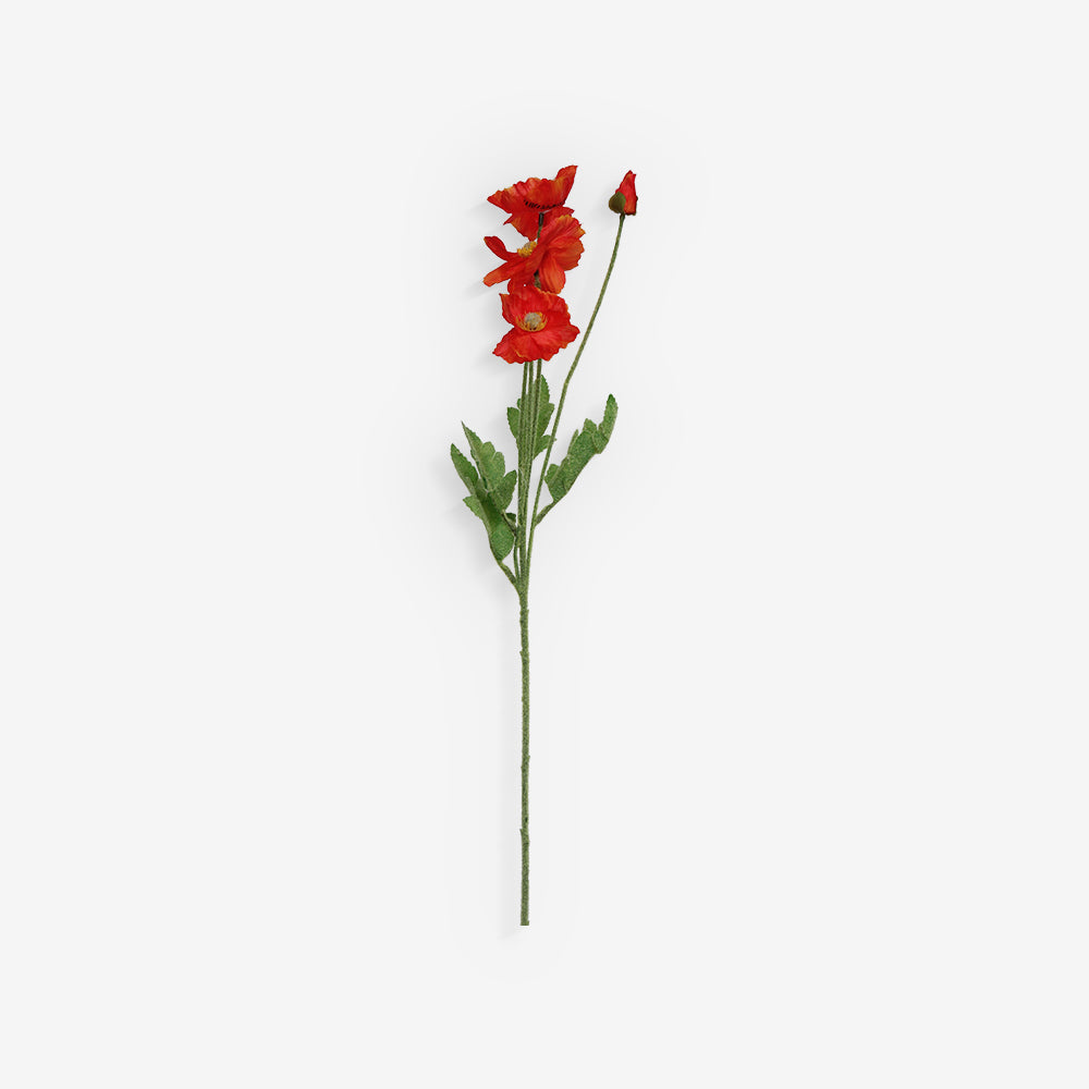 COSMOS