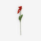 COSMOS