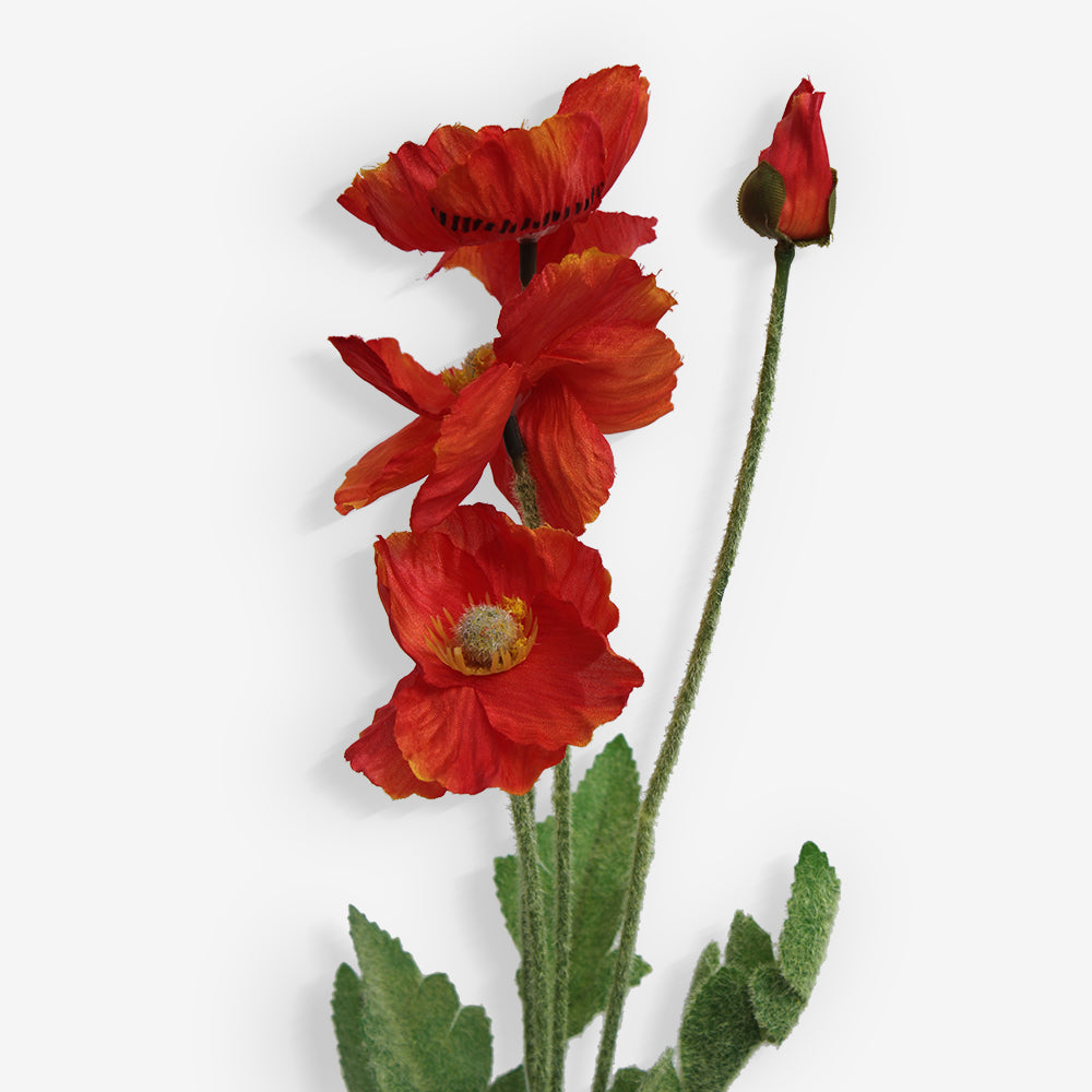 COSMOS