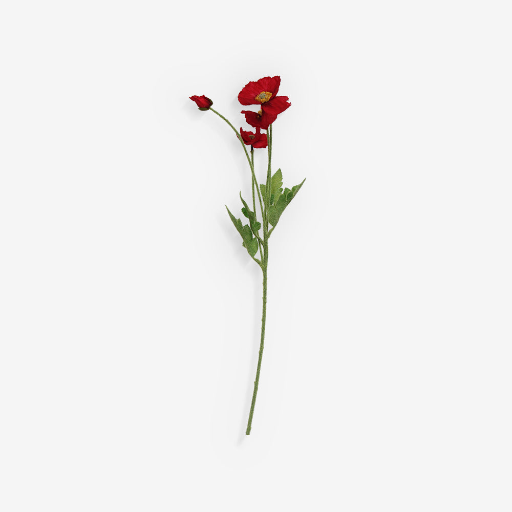 COSMOS