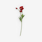 COSMOS