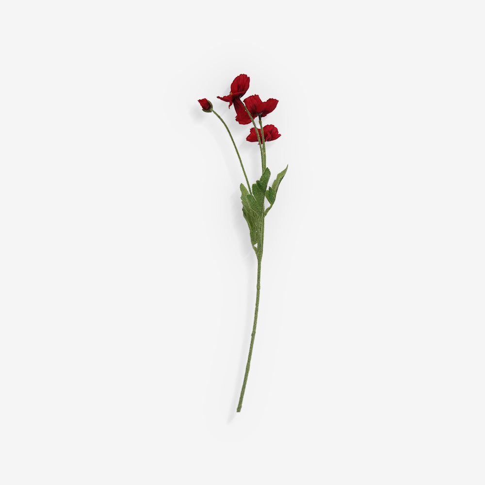 COSMOS