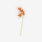 HELICONIA
