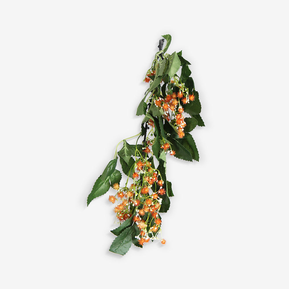 LAURUS