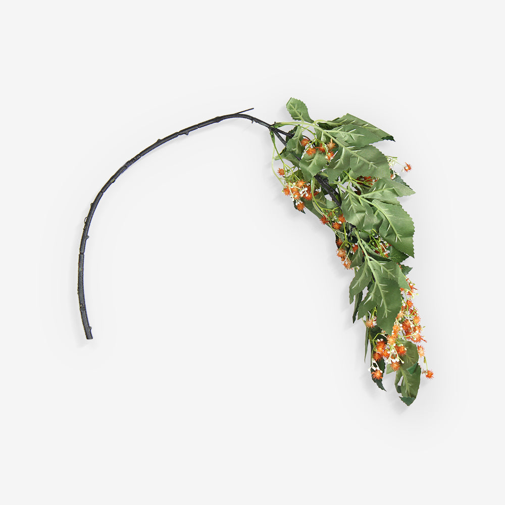 LAURUS