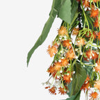 LAURUS