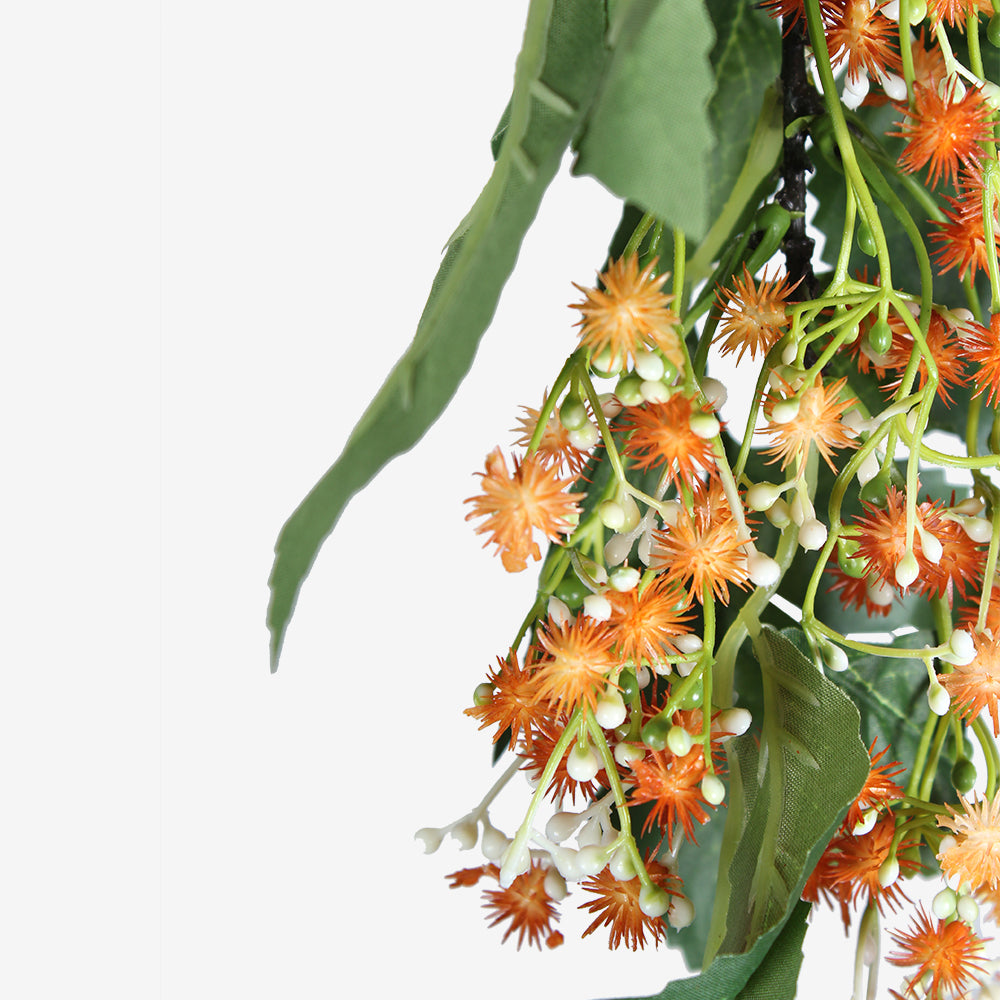 LAURUS