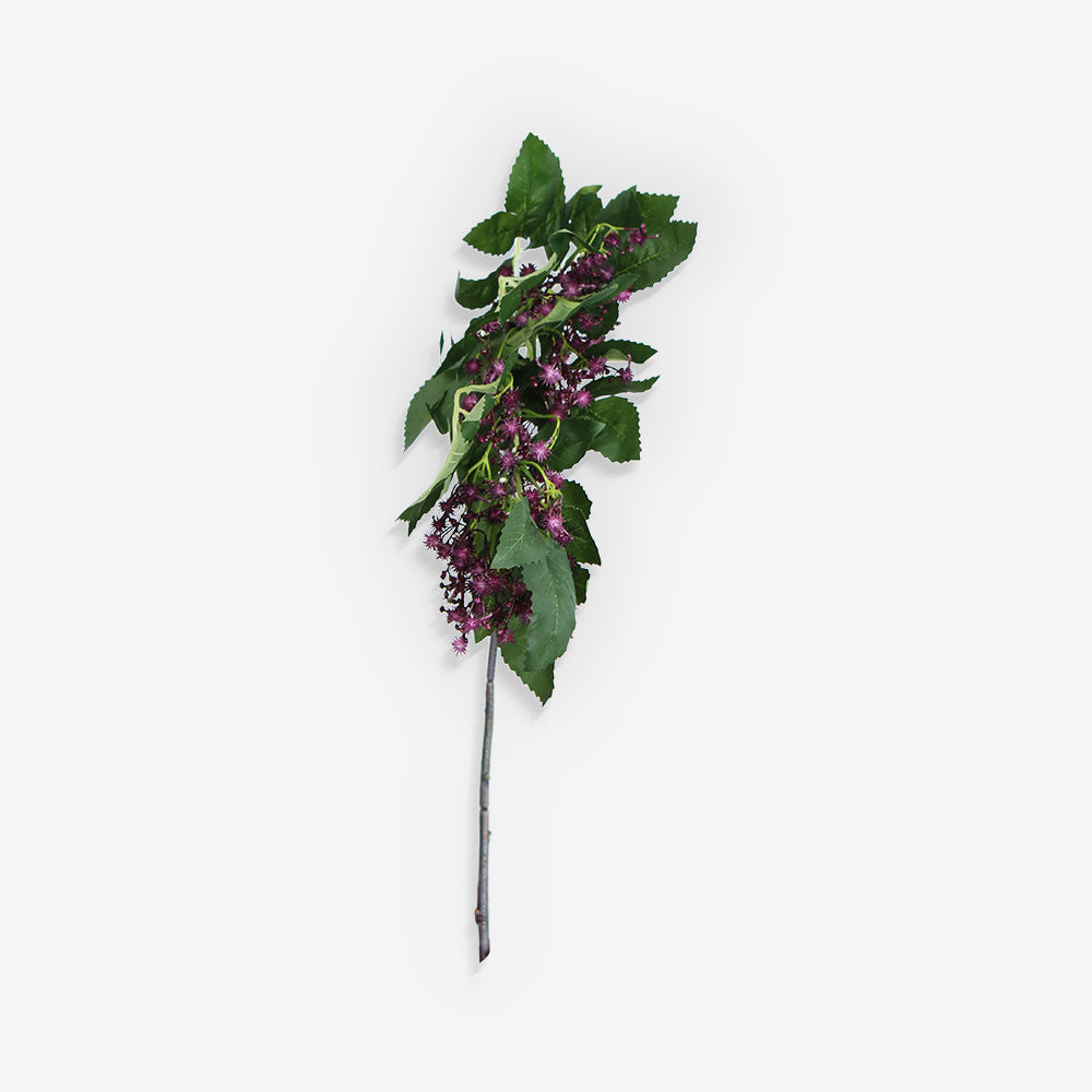 LAURUS