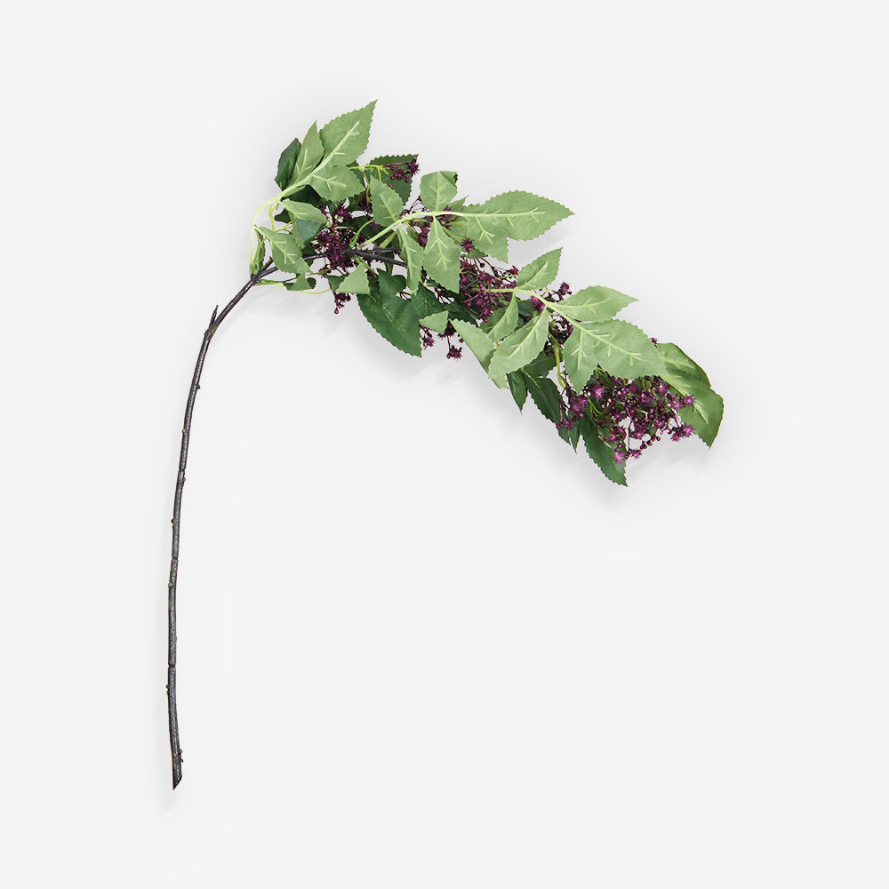 LAURUS