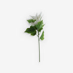 POINSETTIA