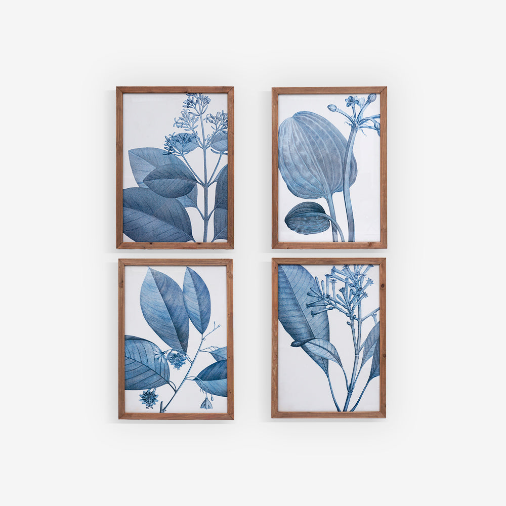 BOTANDIGO