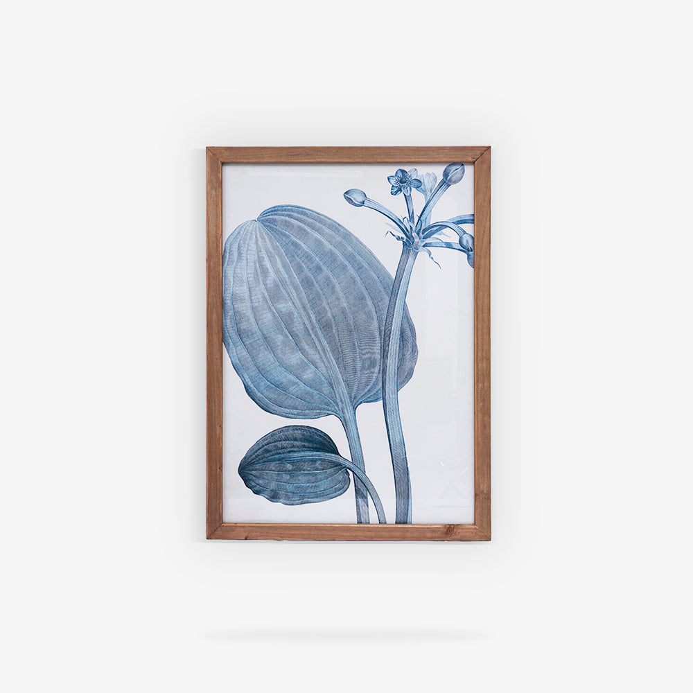 BOTANDIGO