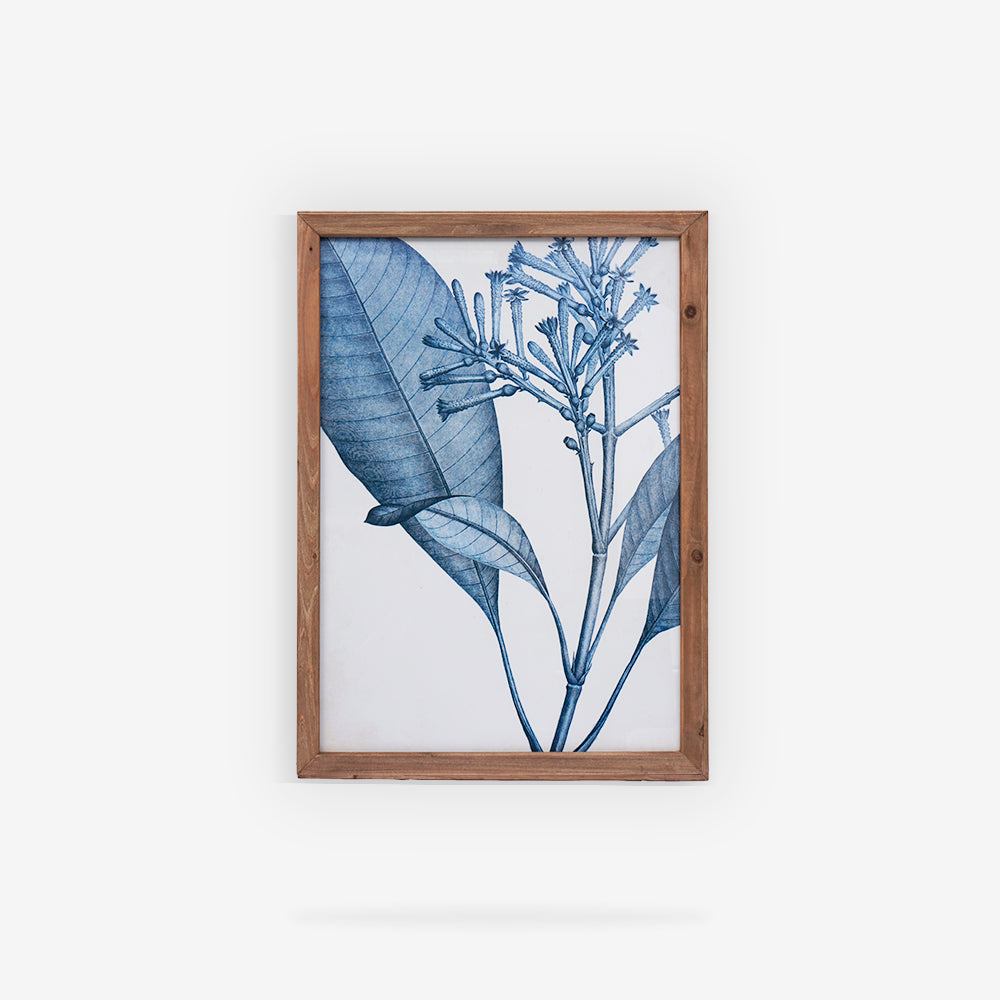 BOTANDIGO