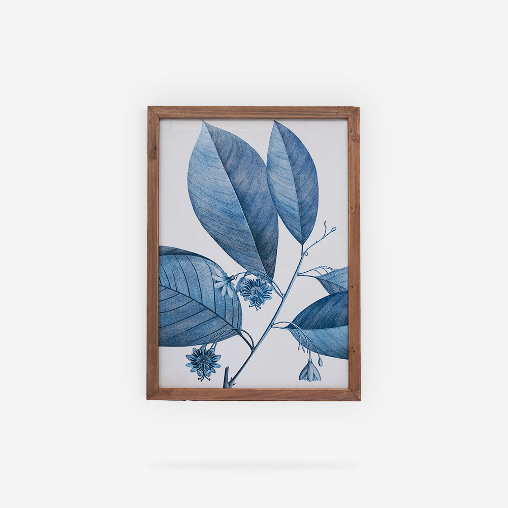 BOTANDIGO