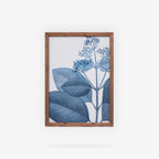 BOTANDIGO