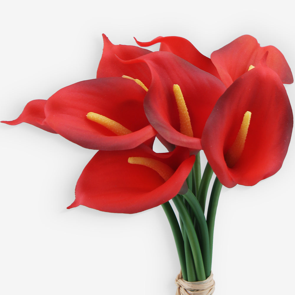 LILY