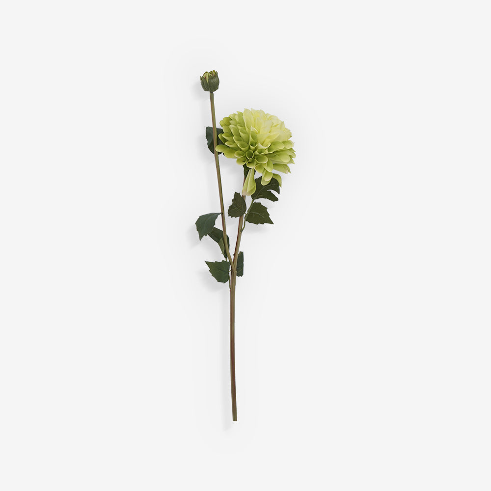 CHRYSANTH