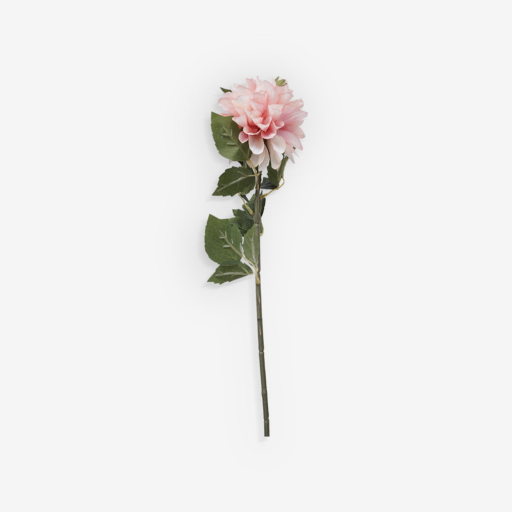 CHRYSANTH