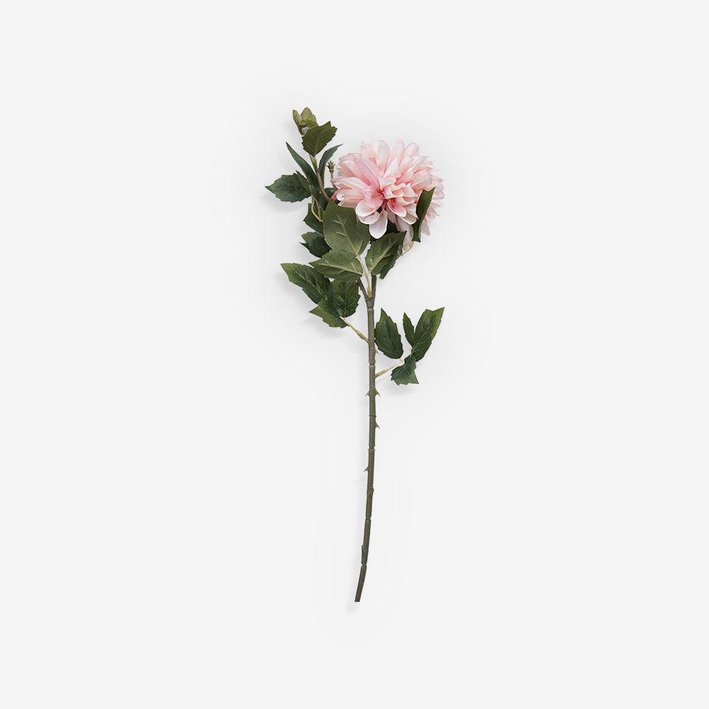 CHRYSANTH