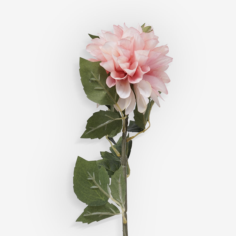CHRYSANTH