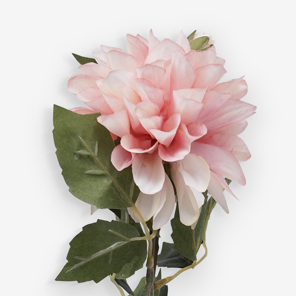 CHRYSANTH
