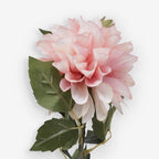 CHRYSANTH