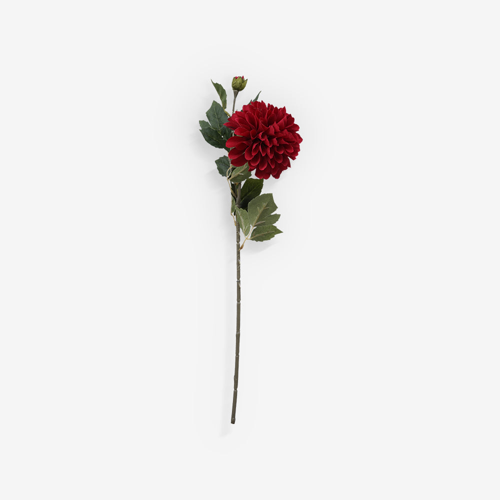 CHRYSANTH