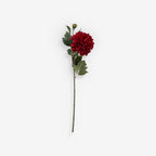 CHRYSANTH