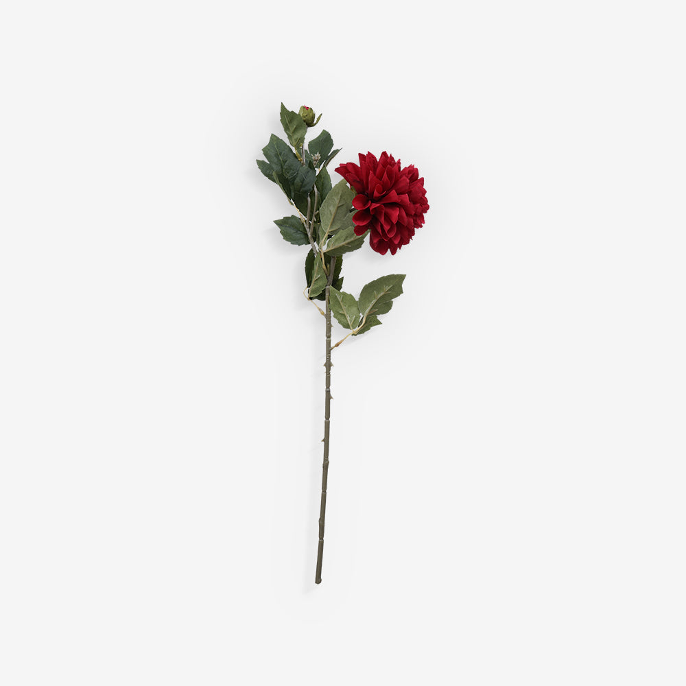 CHRYSANTH