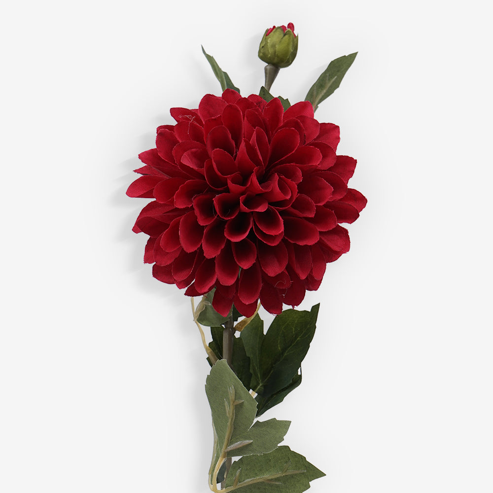 CHRYSANTH