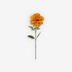 DAHLIA