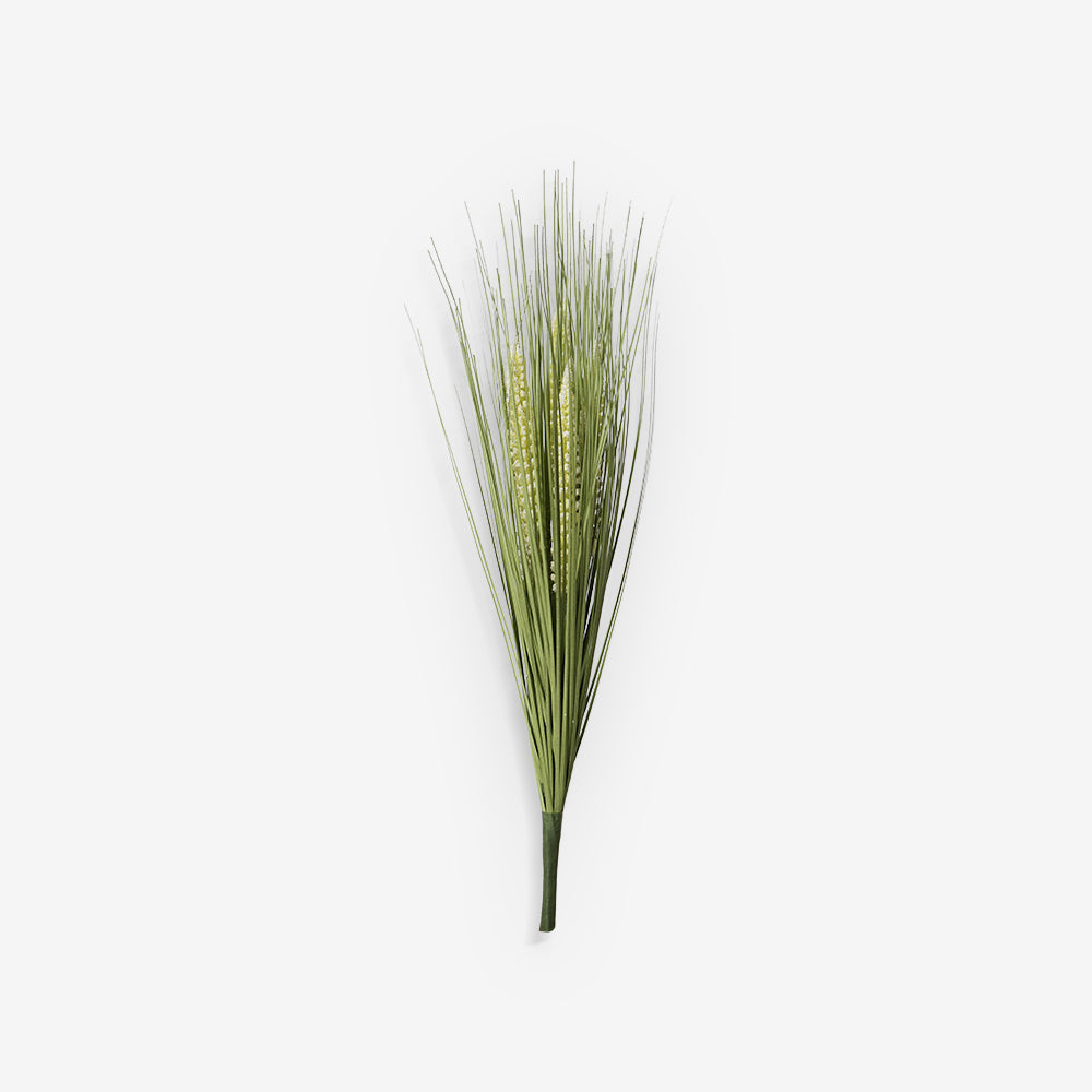 GRASS