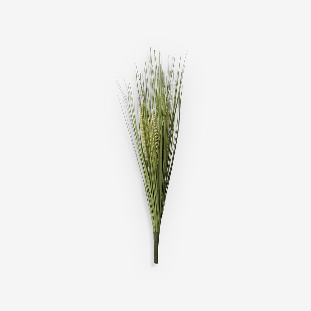 GRASS