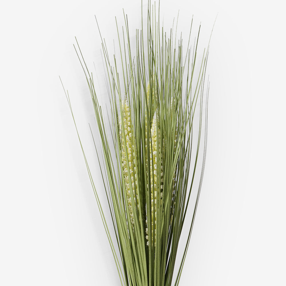 GRASS