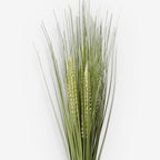 GRASS