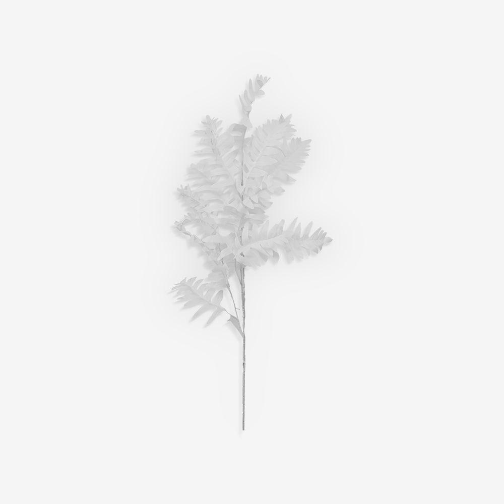 LOUVER