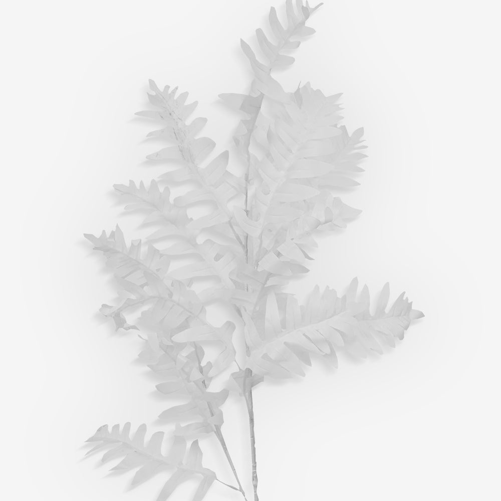 LOUVER