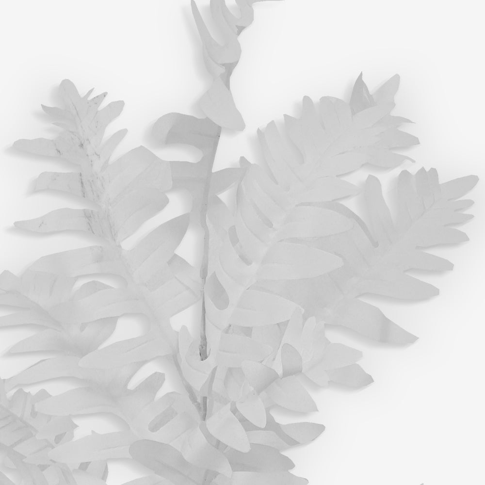 LOUVER