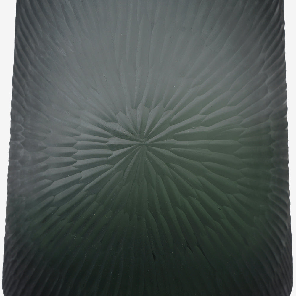DION
