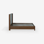BED 3.0