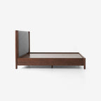 BED 3.0