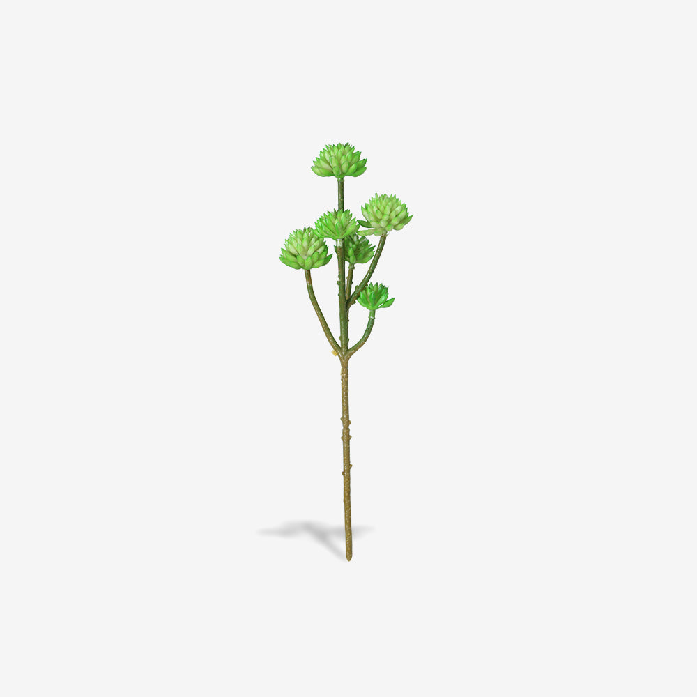 STONECROP